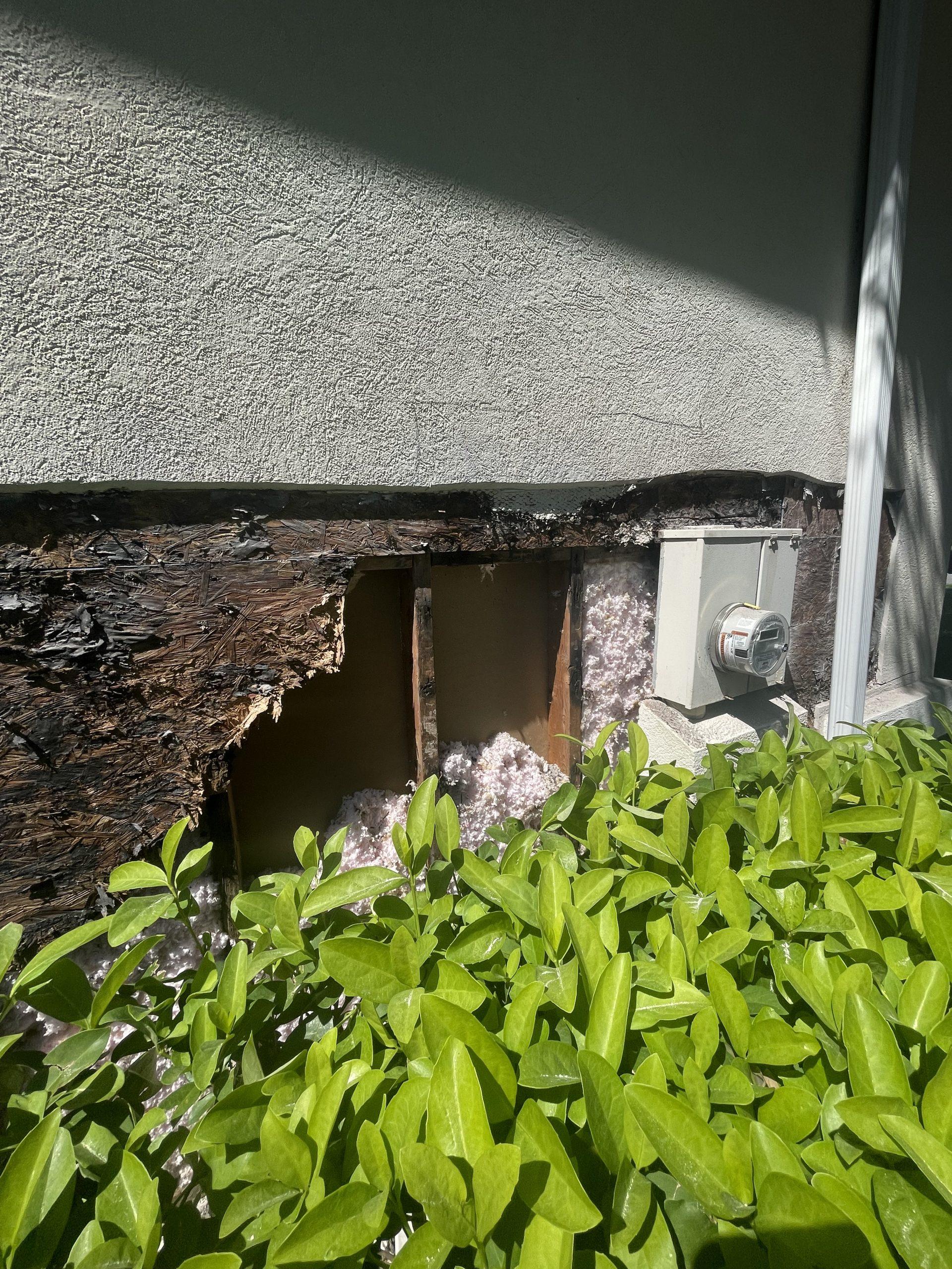 Exterior Wood Repair Florida Professional Painting